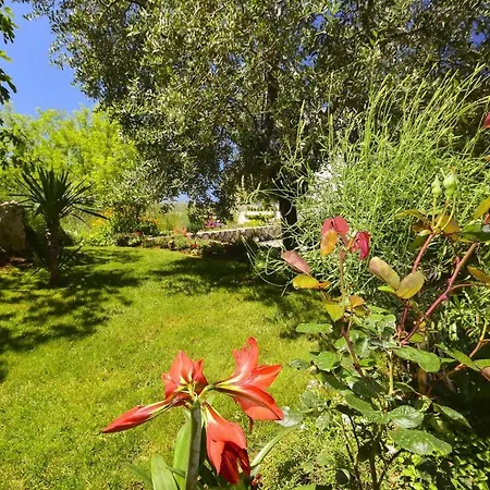 Vukic 1282 Guest house 2*